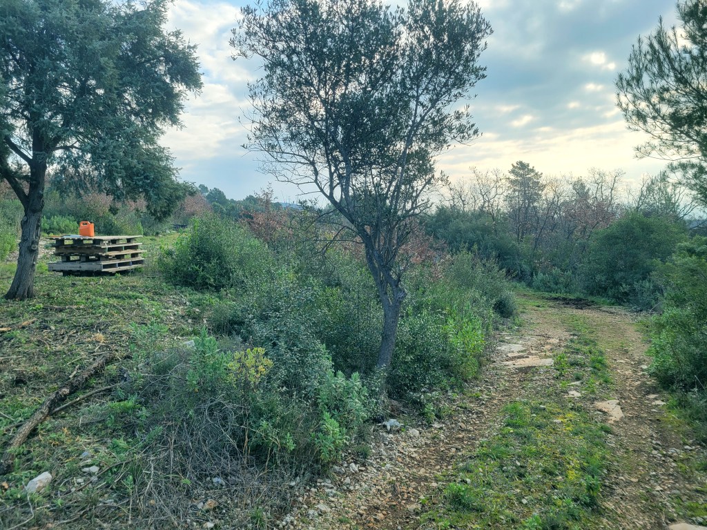 jardinier, paca, 06, france, gardener, french riviera, jardinage